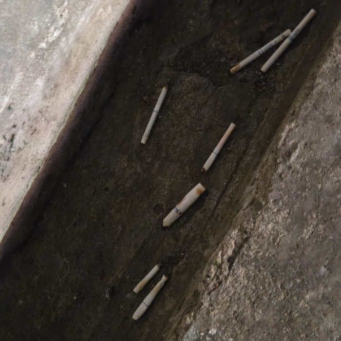  서울강남구.동네.쓰레기.플로깅