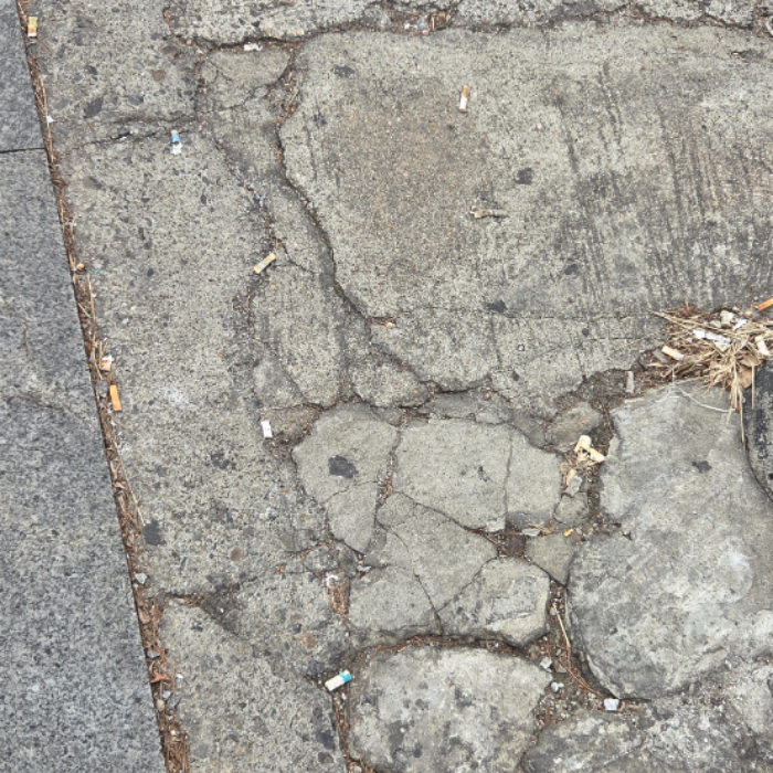  서울강남구.동네.쓰레기.플로깅