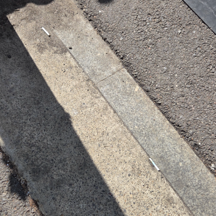  서울강남구.동네.쓰레기.플로깅