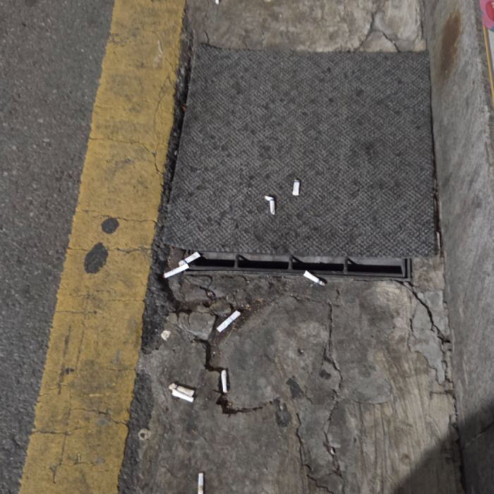  서울강남구.동네.쓰레기.플로깅