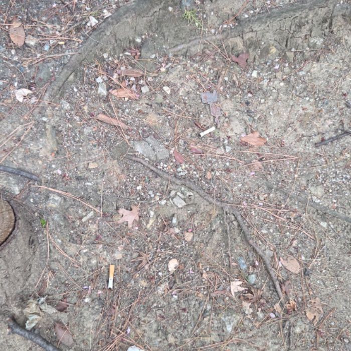  서울강남구.동네.쓰레기.플로깅