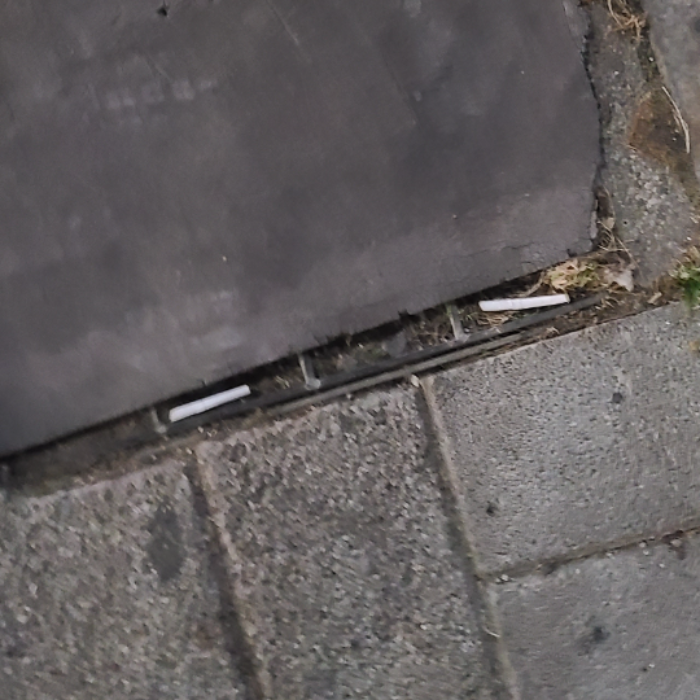  서울강남구.동네.쓰레기.플로깅