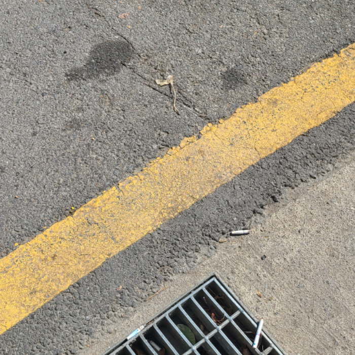  서울강남구.동네.쓰레기.플로깅