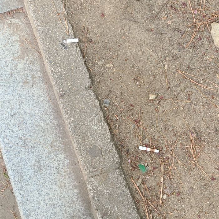  서울강남구.동네.쓰레기.플로깅