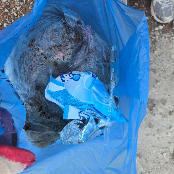  파주시.동네.쓰레기.플로깅