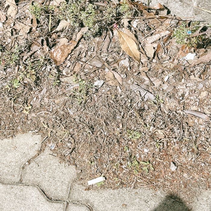  창원시.동네.쓰레기.플로깅