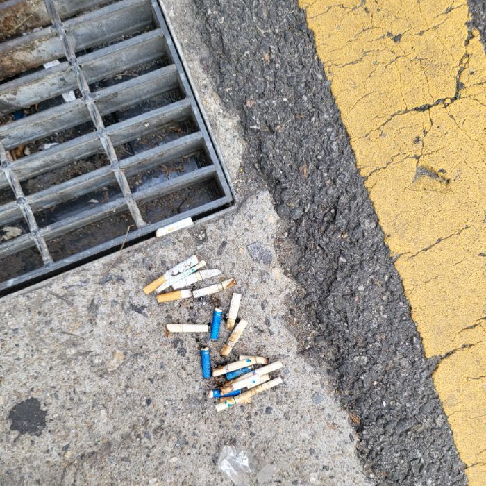  서울강남구.동네.쓰레기.플로깅