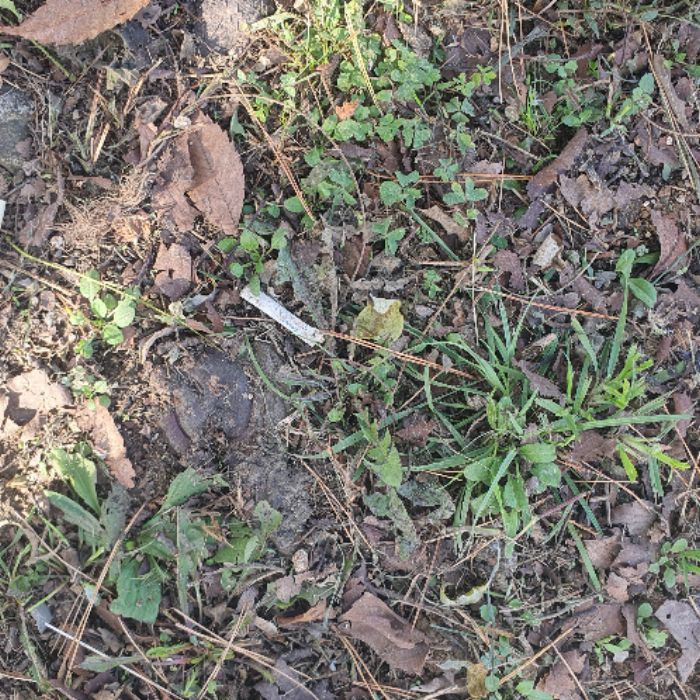  김해시.동네.쓰레기.플로깅