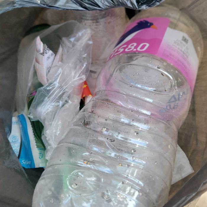  강릉시.동네.쓰레기.플로깅