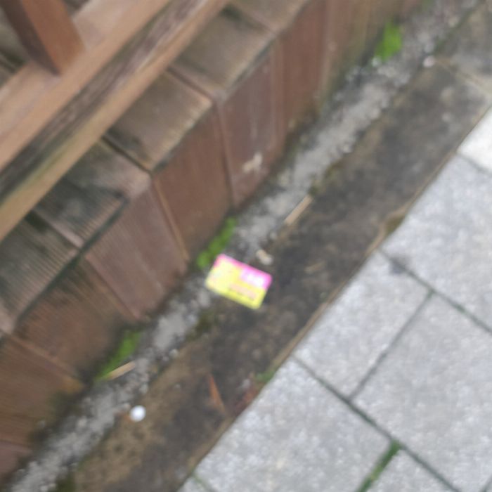  양산시.동네.쓰레기.플로깅