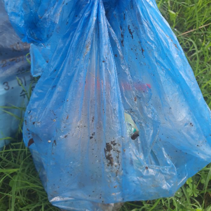  안동시.동네.쓰레기.플로깅