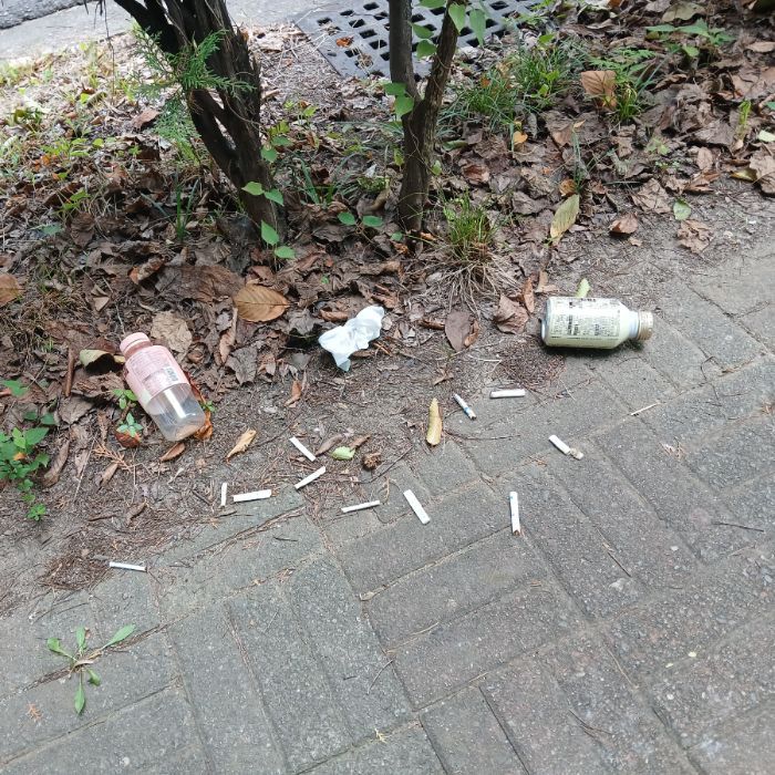  광양시.동네.쓰레기.플로깅