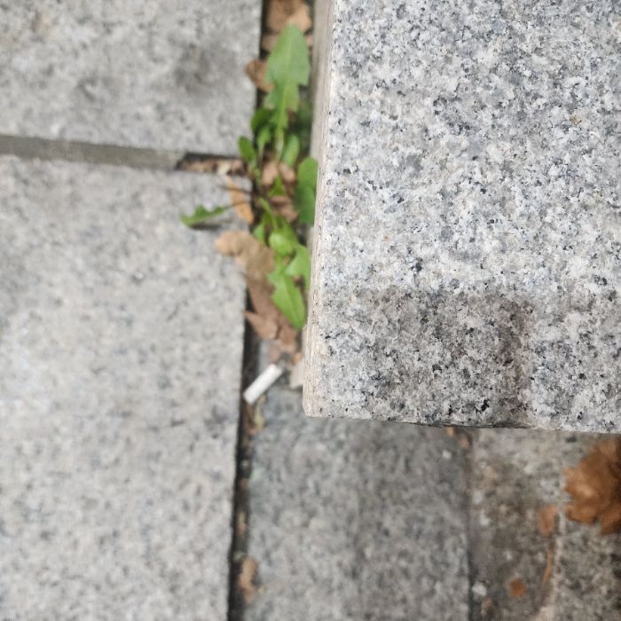  서울강남구.동네.쓰레기.플로깅