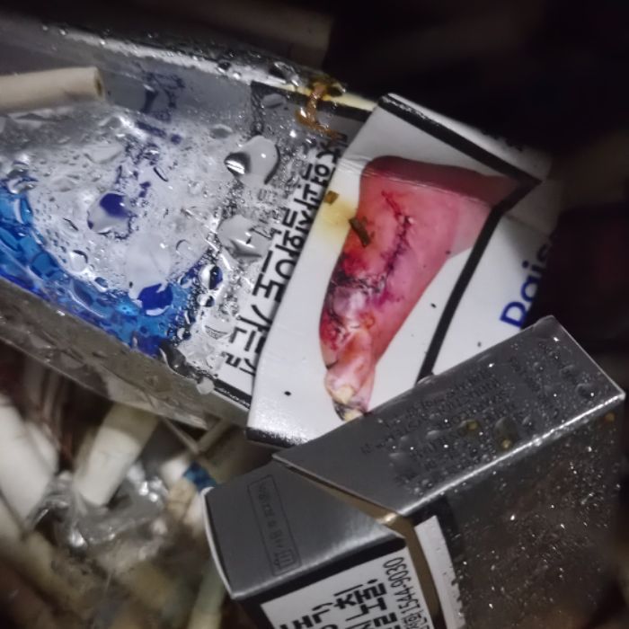  창원시.동네.쓰레기.플로깅