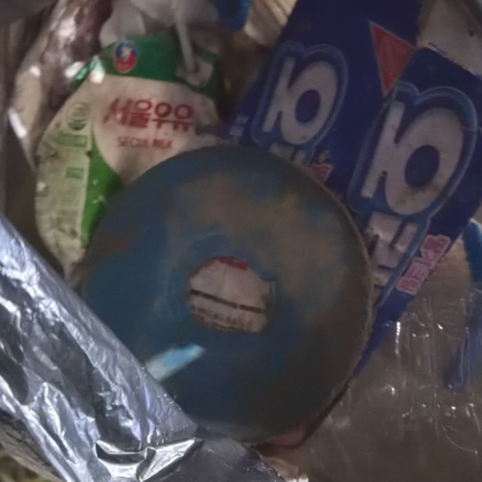 창원시.동네.쓰레기.플로깅